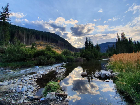 Hotel Alpin Lotru: So wurden Überbuchungen zu 100 % eliminiert